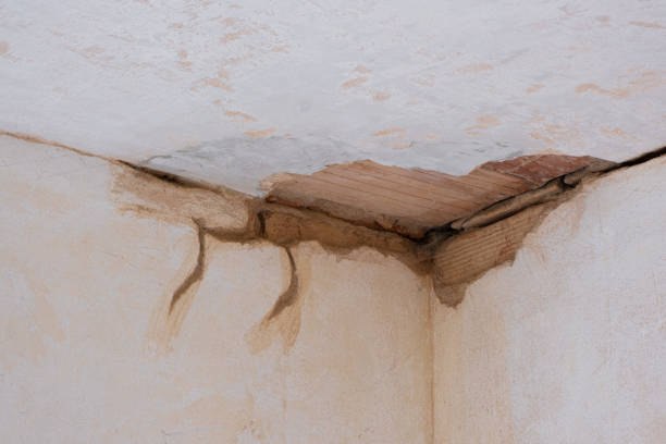 Best Water damage cleanup near me  in Sabina, OH