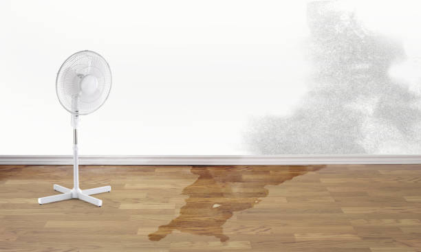Best Flooded house restoration  in Sabina, OH