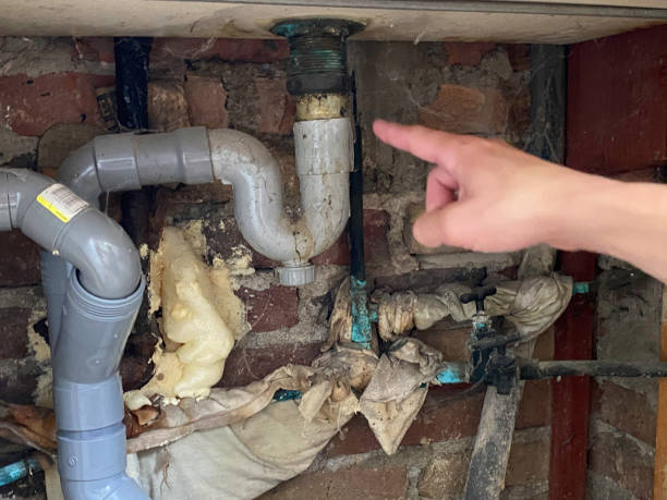 Best Flood damage cleanup  in Sabina, OH